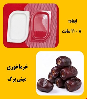 خرما خوری مینی برگ
