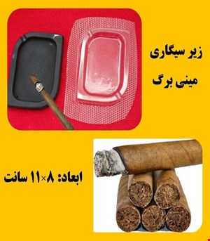 زیرسیگاری مینی برگ