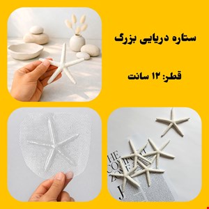 ستاره دریایی بزرگ