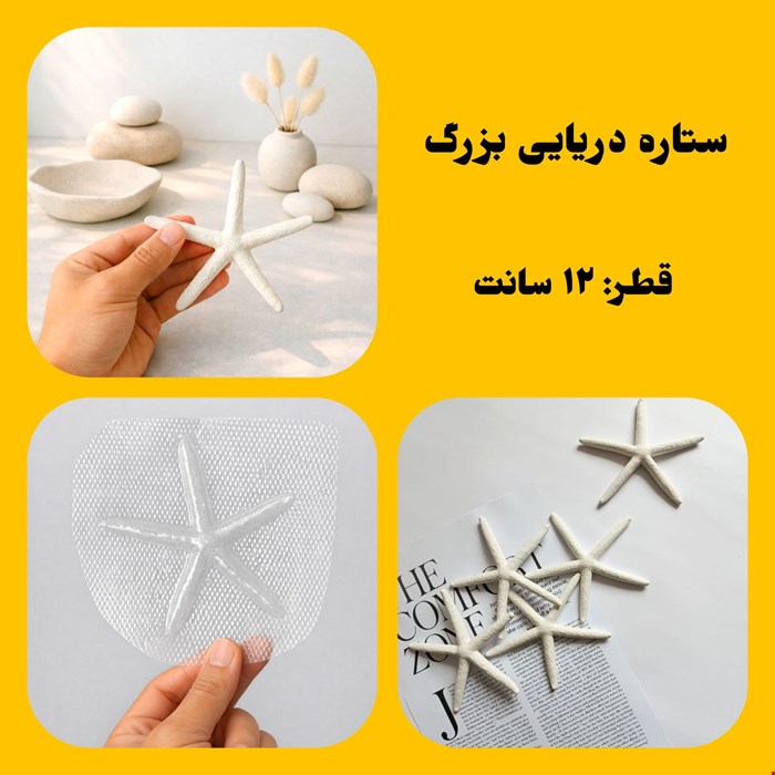 ستاره دریایی بزرگ