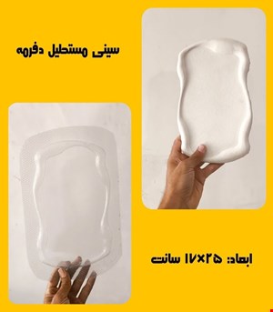 سینی مستطیل دفرمه