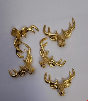 شاخ گوزنی