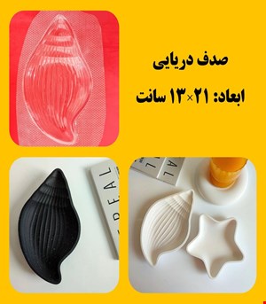 صدف دریایی